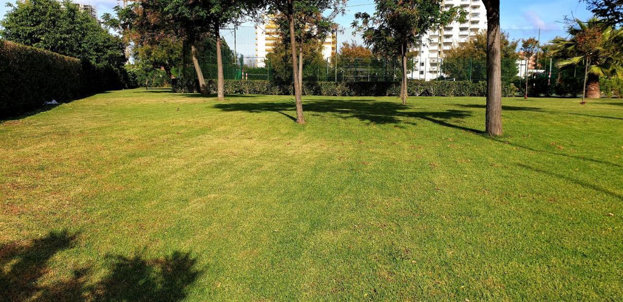 Sol Da Rocha Studio By Sunny Deluxe Portimão Εξωτερικό φωτογραφία